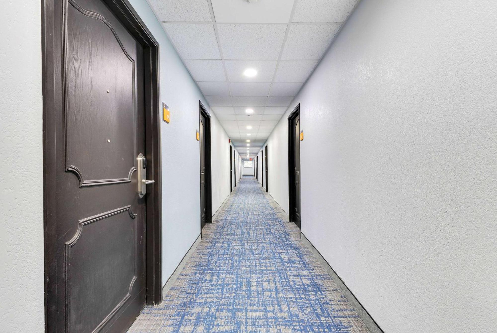 La Quinta Inn & Suites By Wyndham Jacksonville Mandarin Bagian luar foto